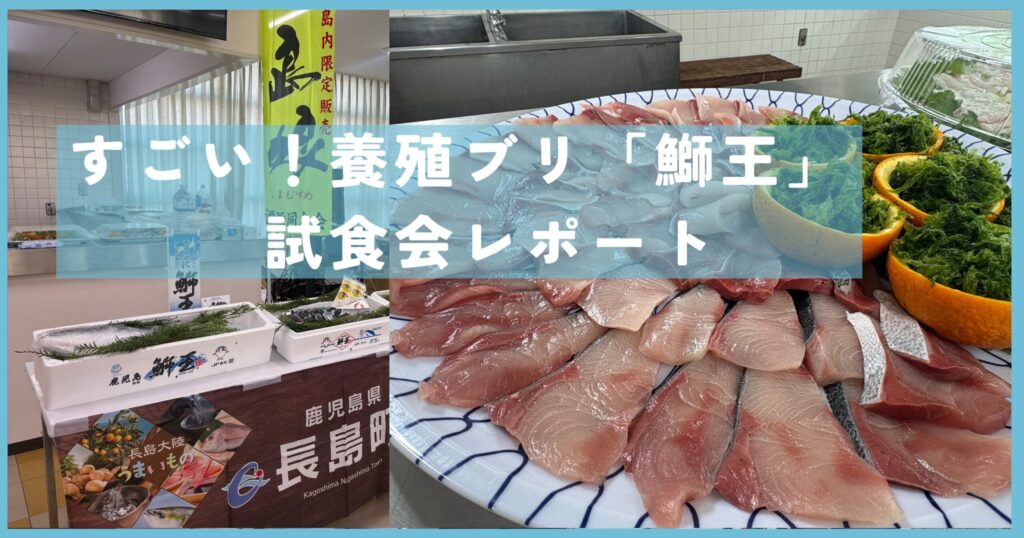 養殖ブリ「鰤王」