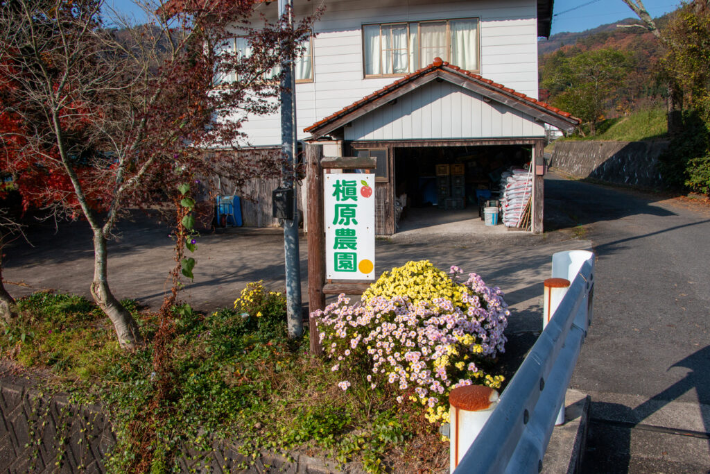 槇原リンゴ園 見学①