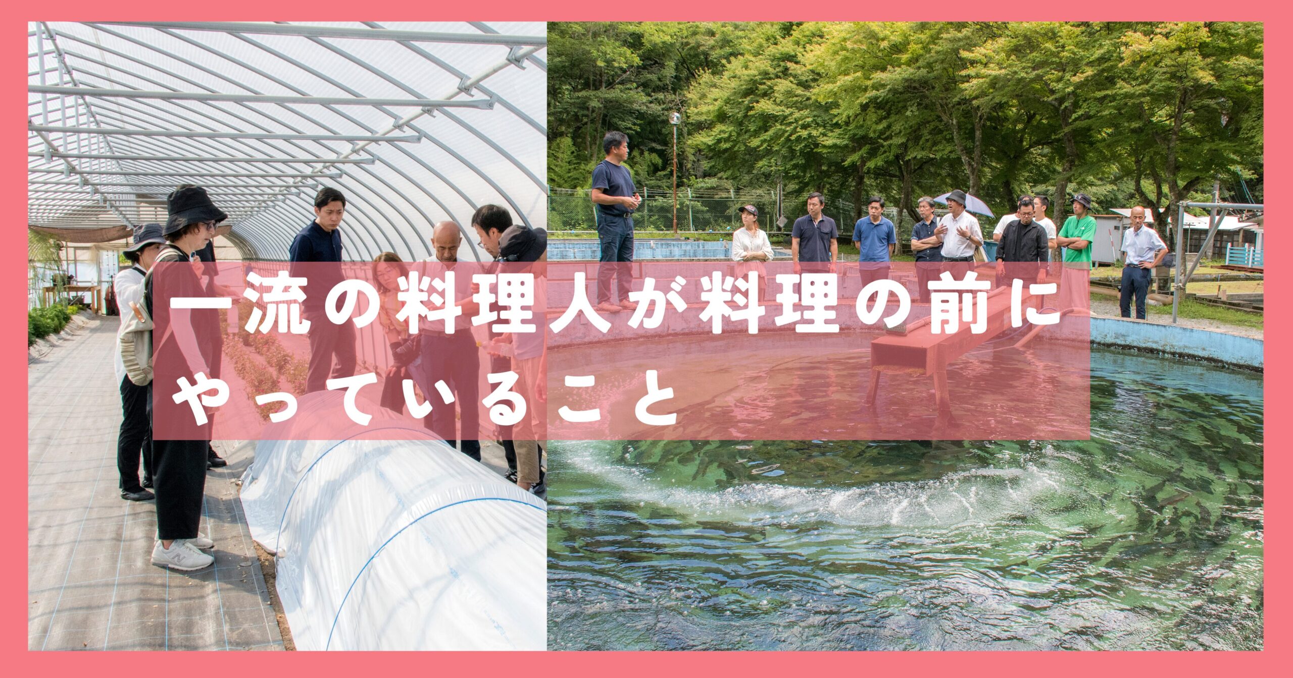 ドローイングシェフ視察